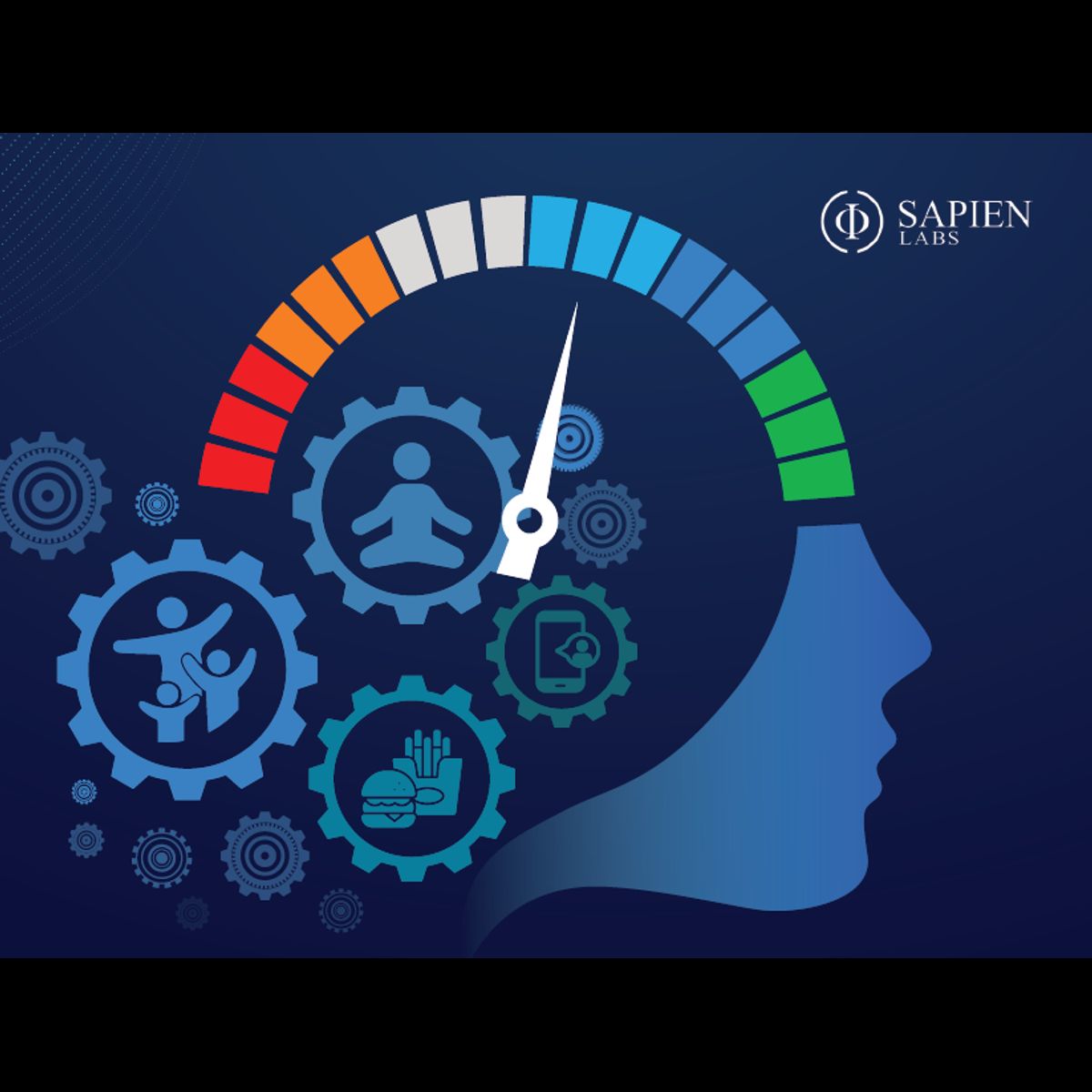 Sapien Labs | Neuroscience | Human Brain Diversity